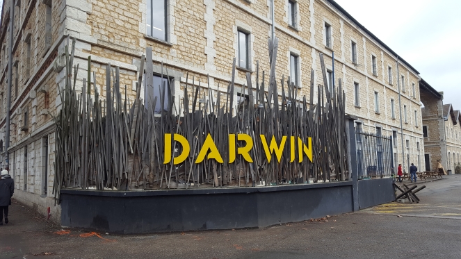 Darwin à Bordeaux